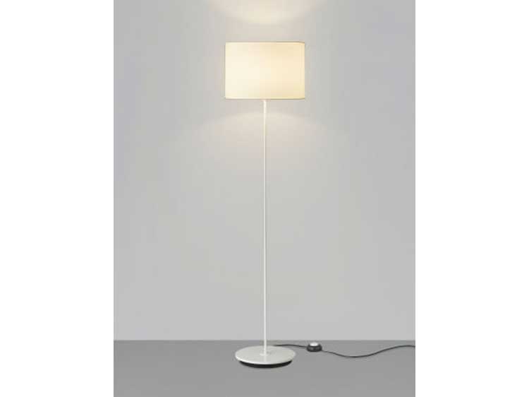 Floor Lamp (Used)