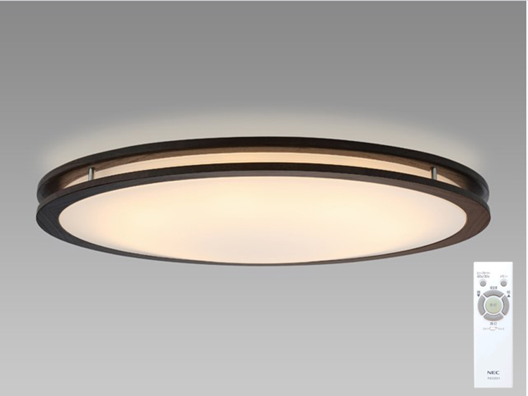 Ceiling Lamp (Used)
