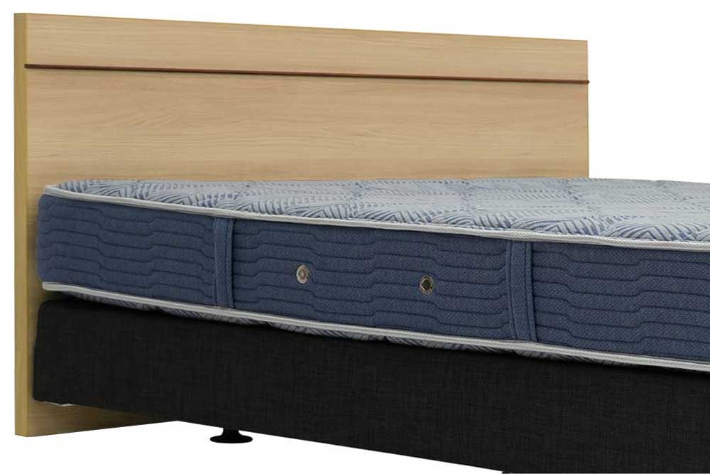 Queen-Size Headboard (Used)