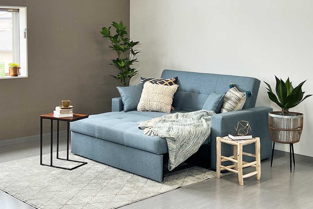 Sleeper (Fabric) (Used)