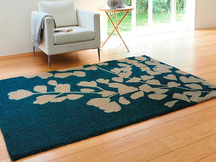 Rug (Used)